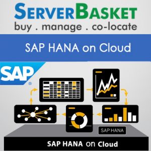 SAP HANA on Cloud | SAP HANA Cloud Hosting | SAP Hana Cloud Trail