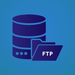 Best FTP Server Rental For Enterprise Business | Access Data over ...